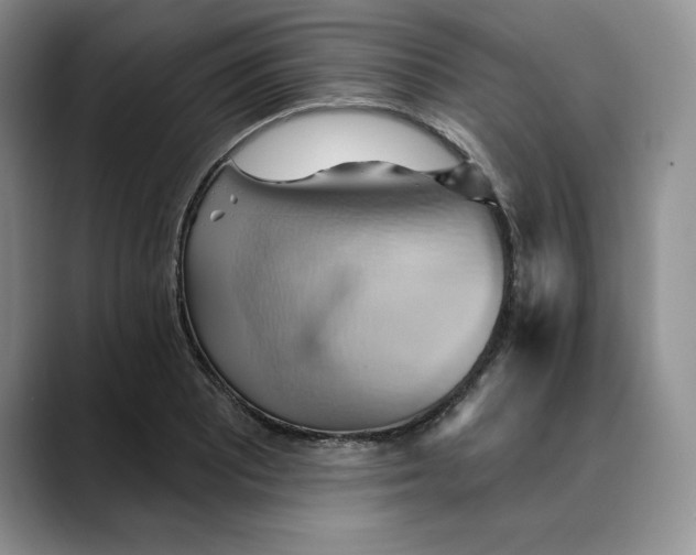 X0000088491081200706121545