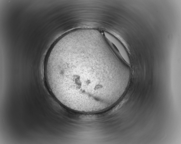 X0000088491083200706121545