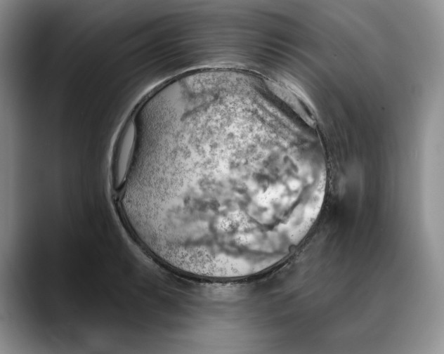 X0000088491087200706121545