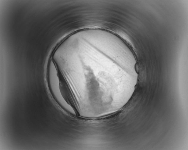 X0000088491088200706121545