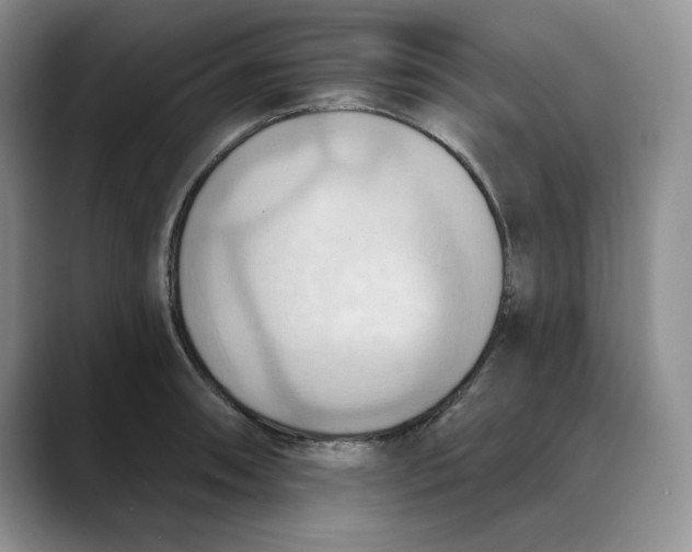 X0000088491090200706121545