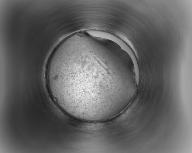 X0000088491091200706121545