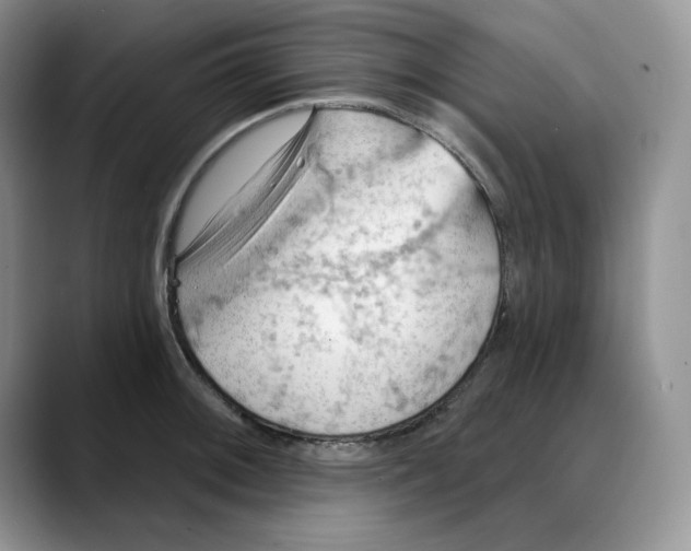 X0000088491092200706121544