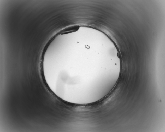 X0000088491093200706121544