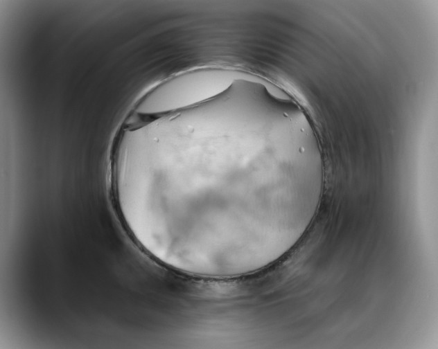 X0000088491095200706121544