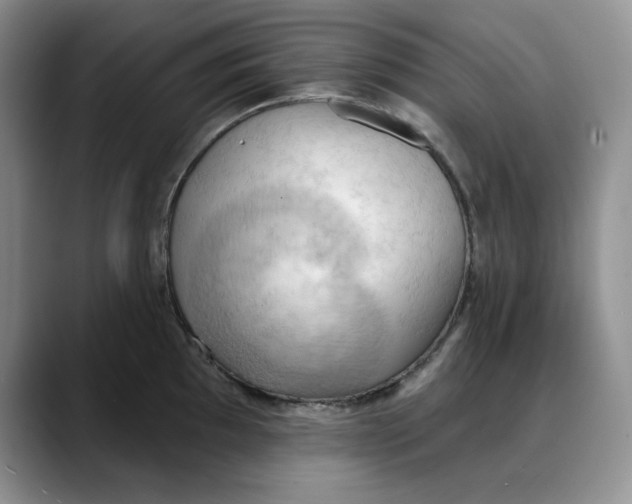 X0000088491097200706121544