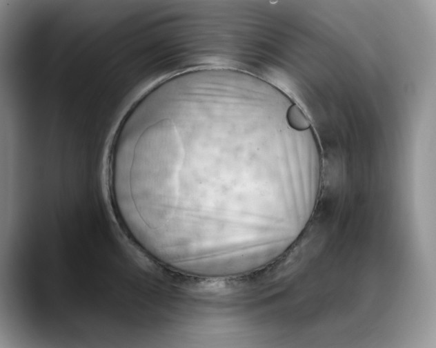 X0000088491098200706121544