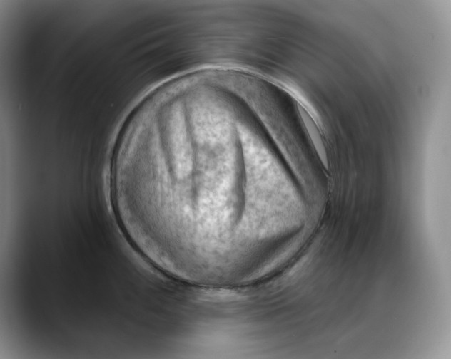 X0000088491100200706121544