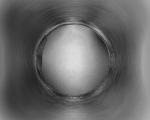 X0000088491101200706121544