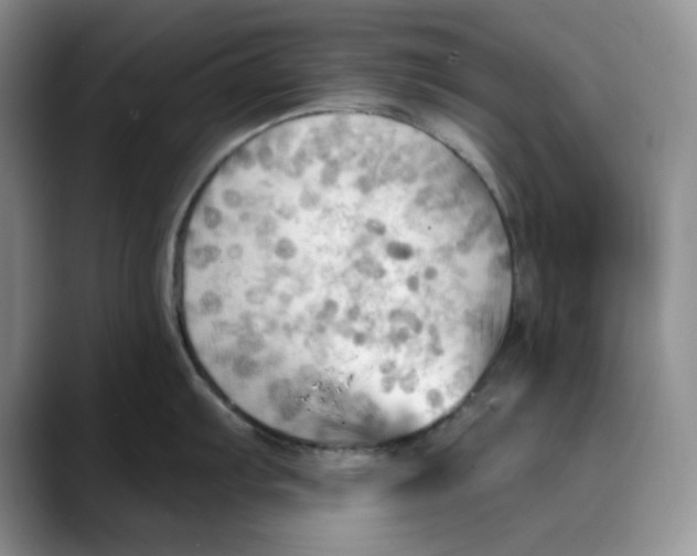 X0000088491103200706121544