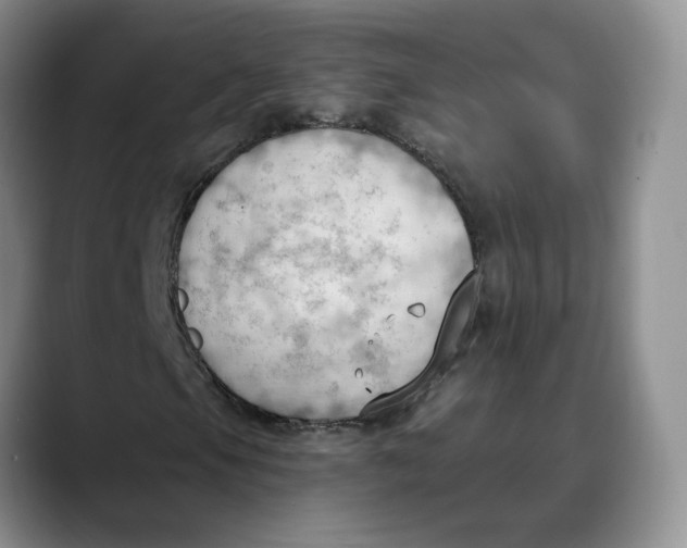 X0000088491105200706121544