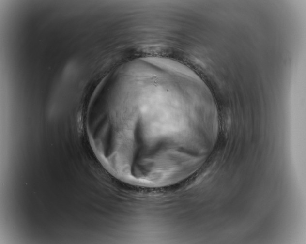 X0000088491106200706121544