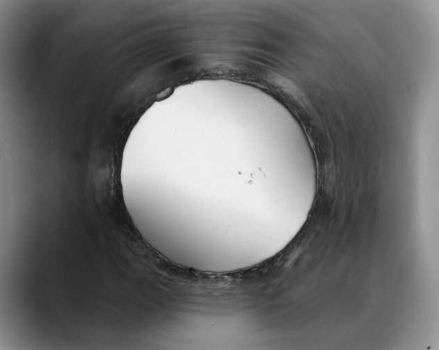 X0000088491111200706121544