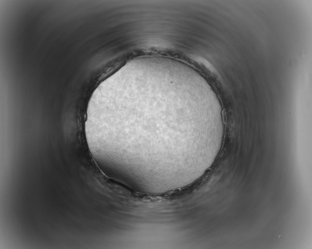 X0000088491112200706121544