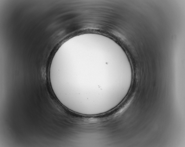 X0000088491113200706121544