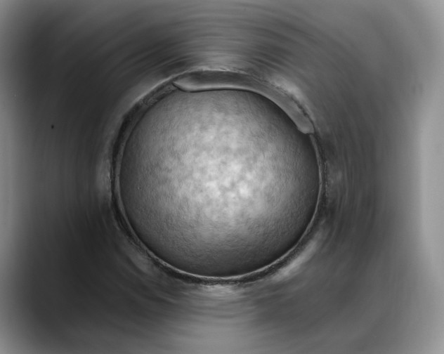 X0000088491114200706121544