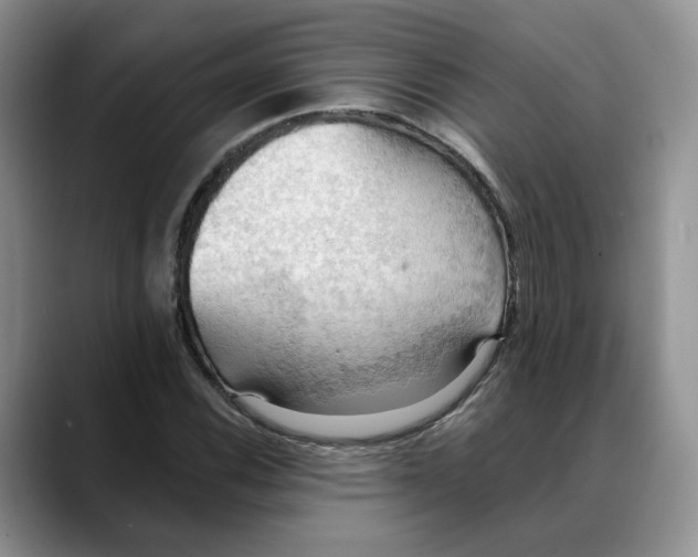 X0000088491116200706121544