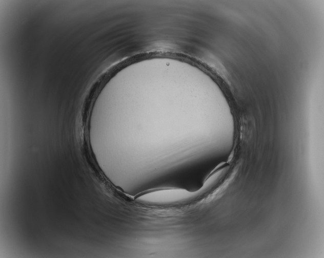 X0000088491117200706121544