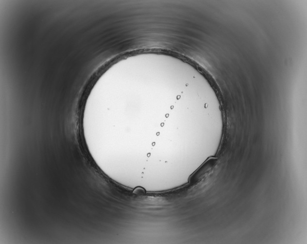 X0000088491119200706121544