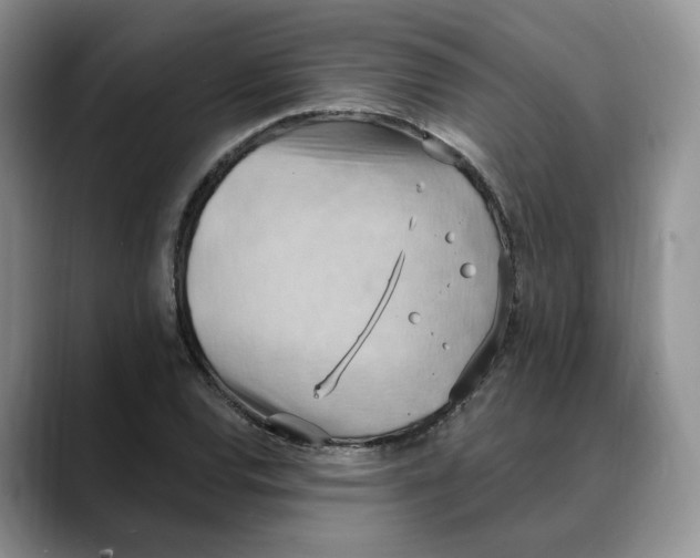 X0000088491120200706121544