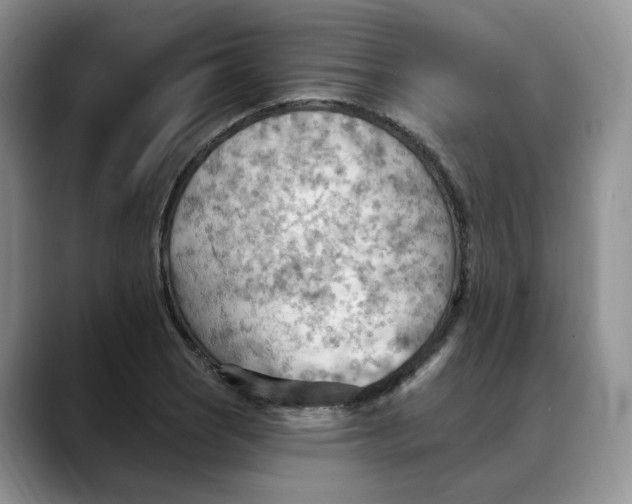 X0000088491121200706121544