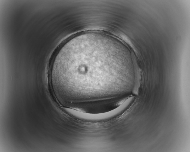 X0000088491124200706121544