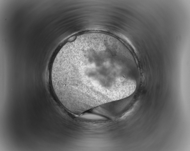 X0000088491125200706121544