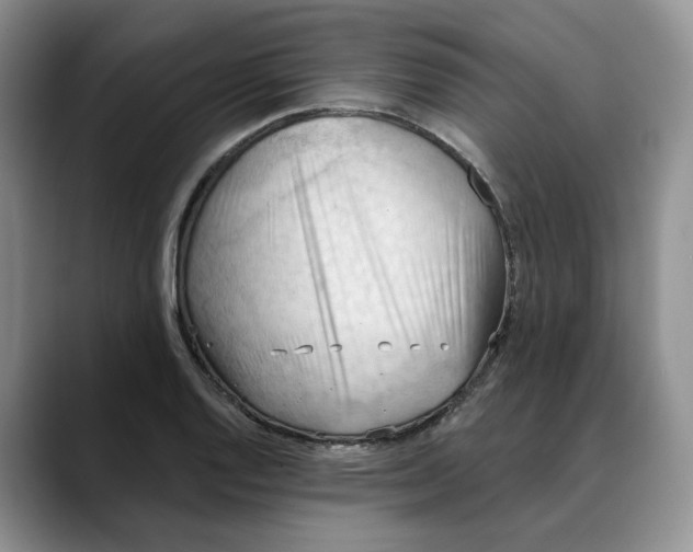 X0000088491128200706121544