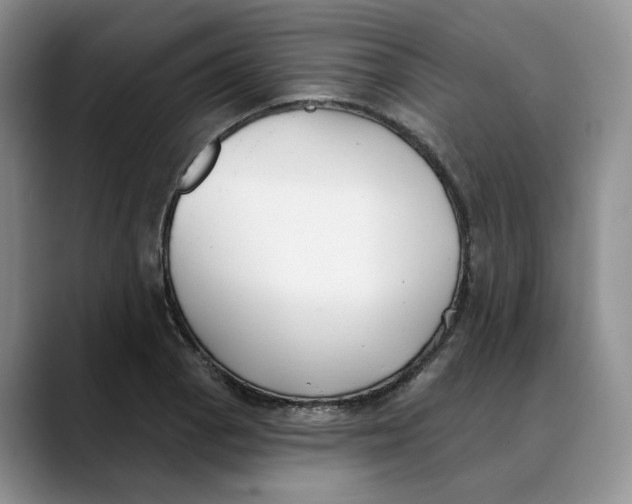 X0000088491129200706121544