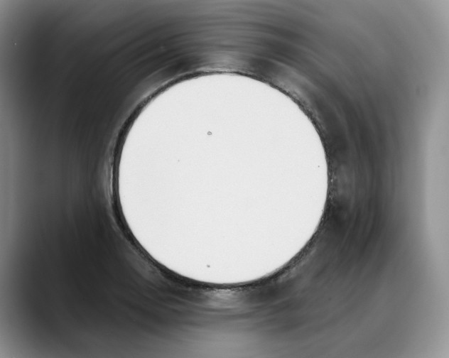 X0000088491130200706121544