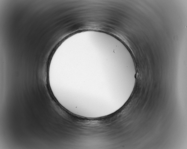 X0000088491131200706121544