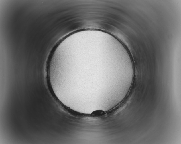 X0000088491133200706121544