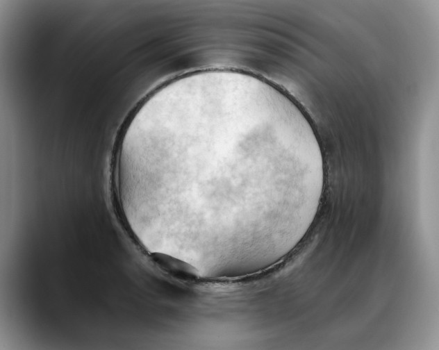 X0000088491134200706121544