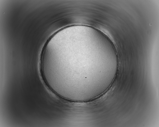 X0000088491136200706121544