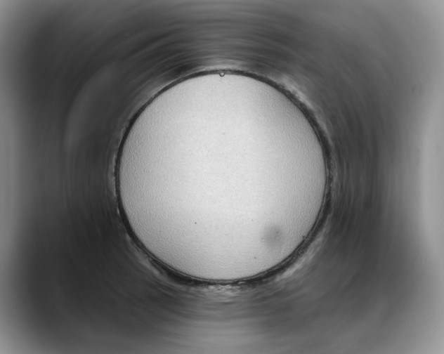 X0000088491137200706121544