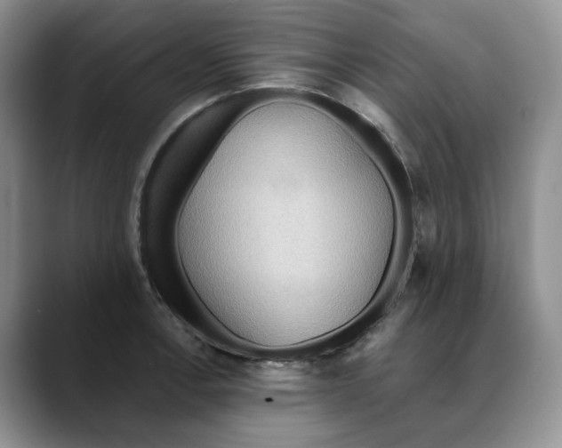 X0000088491138200706121544