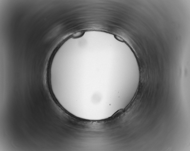 X0000088491139200706121544