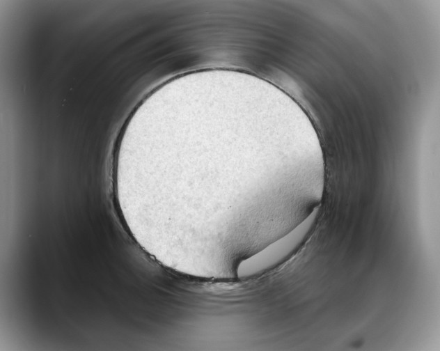 X0000088491140200706121544