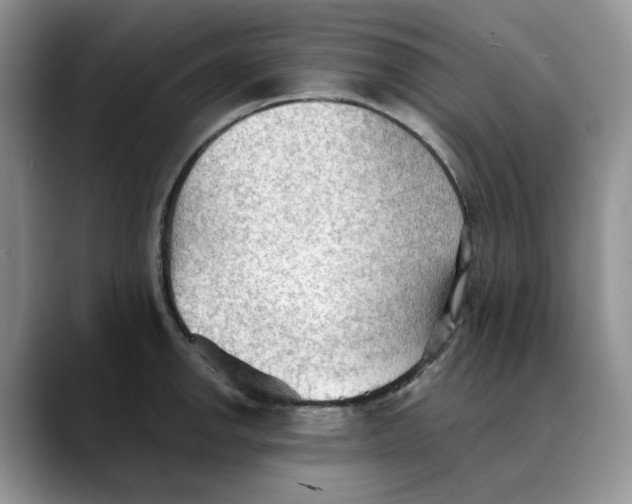 X0000088491142200706121544