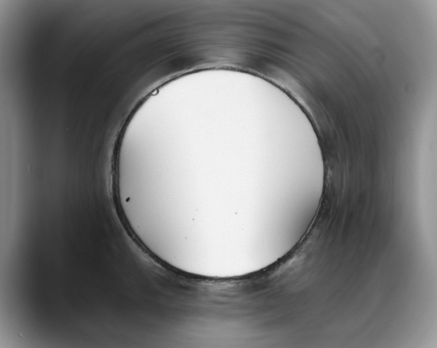 X0000088491143200706121544