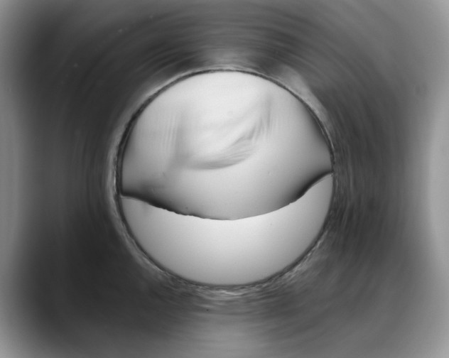 X0000088491144200706121544