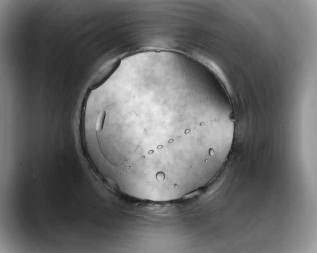 X0000088491146200706121544