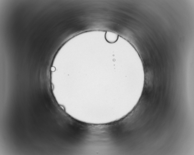 X0000088491150200706121544