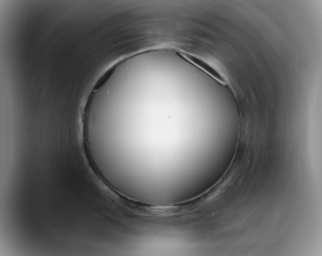 X0000088491151200706121544