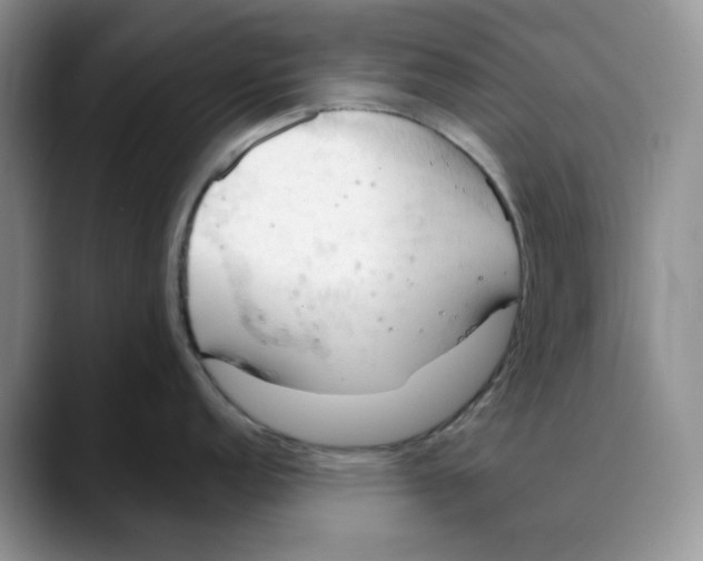 X0000088491152200706121544