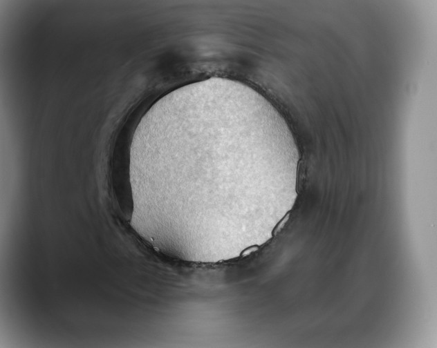 X0000088491153200706121544