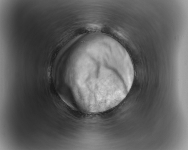 X0000088491154200706121544