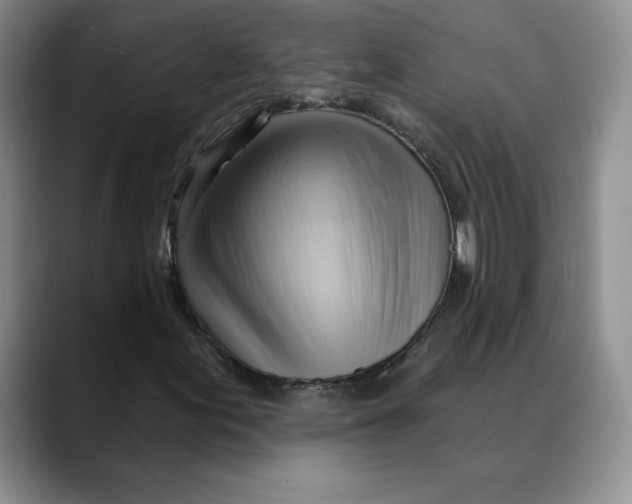 X0000088491155200706121544