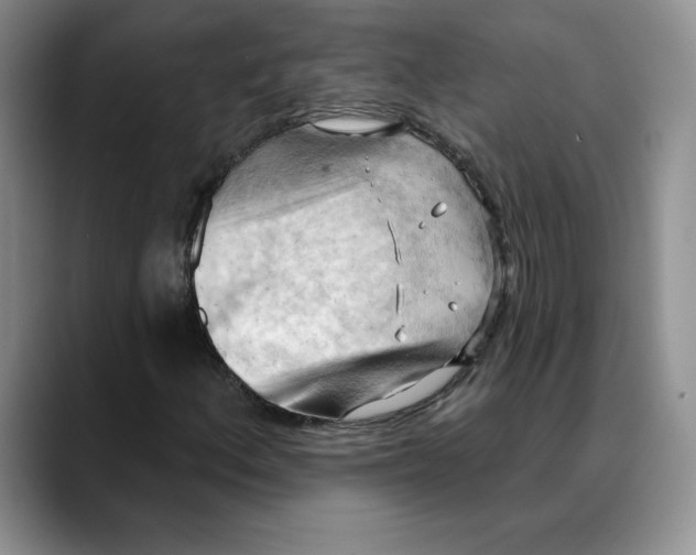 X0000088491156200706121544