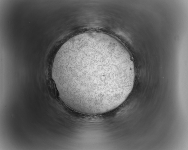 X0000088491159200706121544